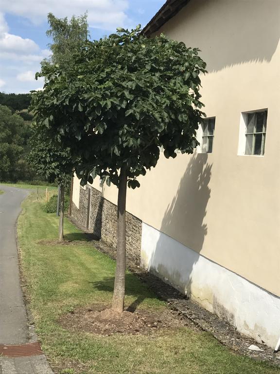 Ferienwohnung Schloessershof Borler Exteriér fotografie